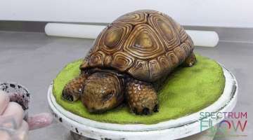 Tortoise Cake Tutorial with Spectrum Flow | The Cake Decorating Company